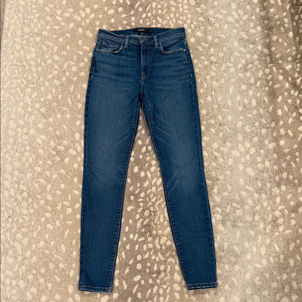 Hudson Jeans Dark Blue Women's Skinny Jeans